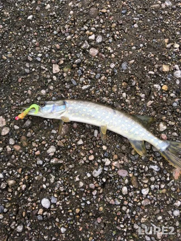 Pike — Minnehaha Creek, Aug 06, 2019, 5:48 PM