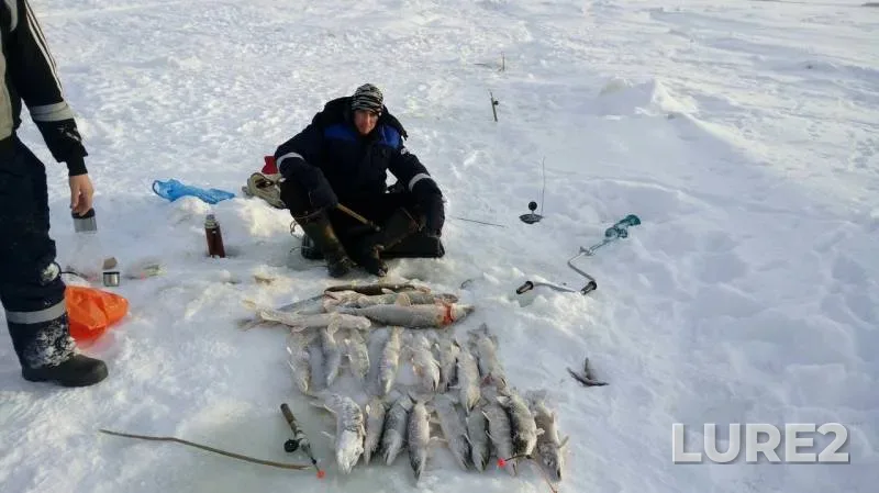 Pike — Lamskaya, Feb 24, 2018