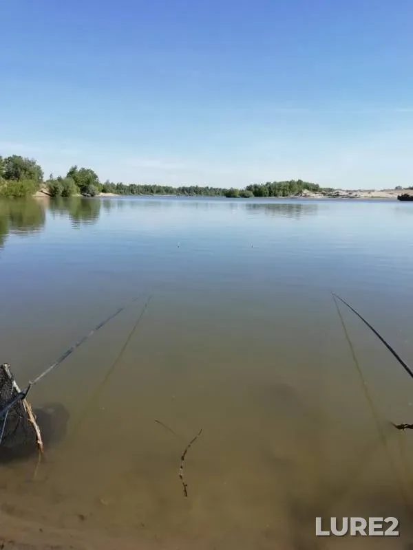 Bream, Roach — Irtysh, Jun 21, 2019