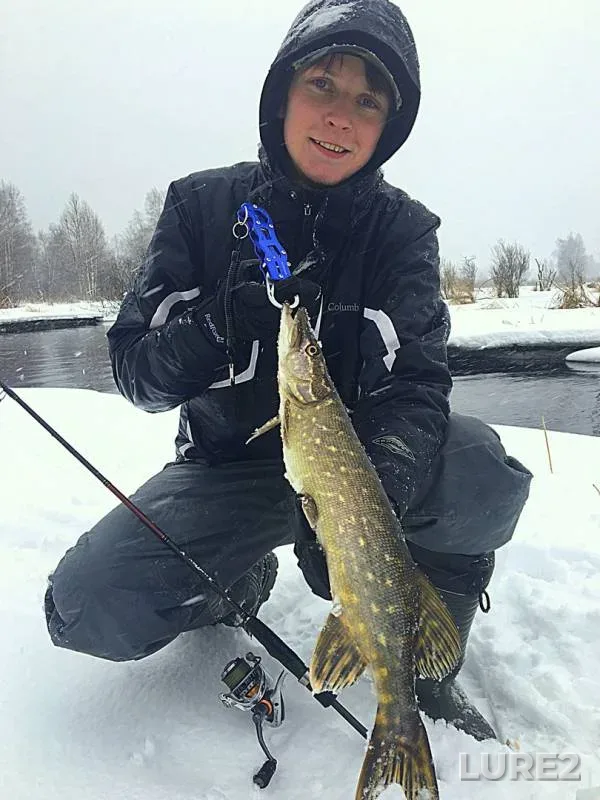 Pike — Kamyshovka, Feb 05, 2018