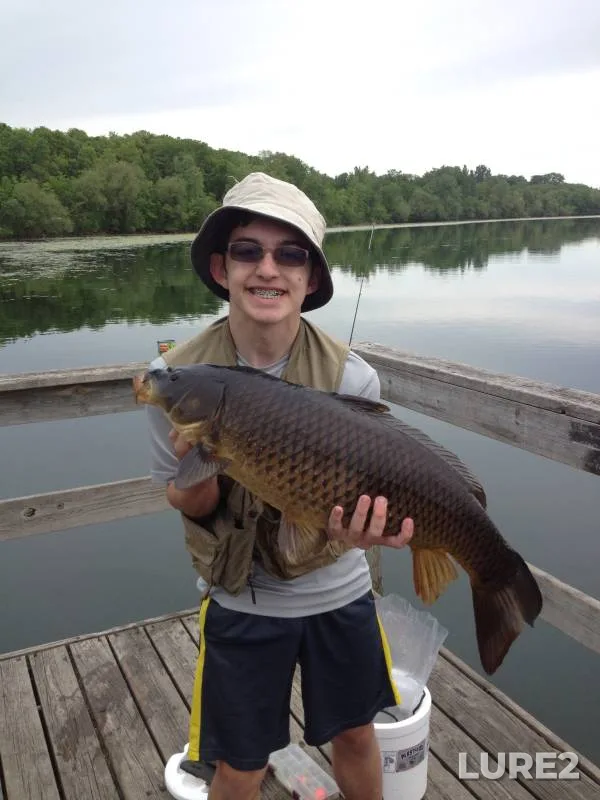 Carp — Twin Lake, May 03, 2020, 6:16 PM