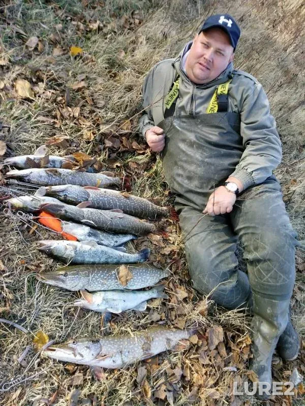Pike, Zander — Astrakhanskaya oblast, Volodarskiy rayon, Nov 05, 2017