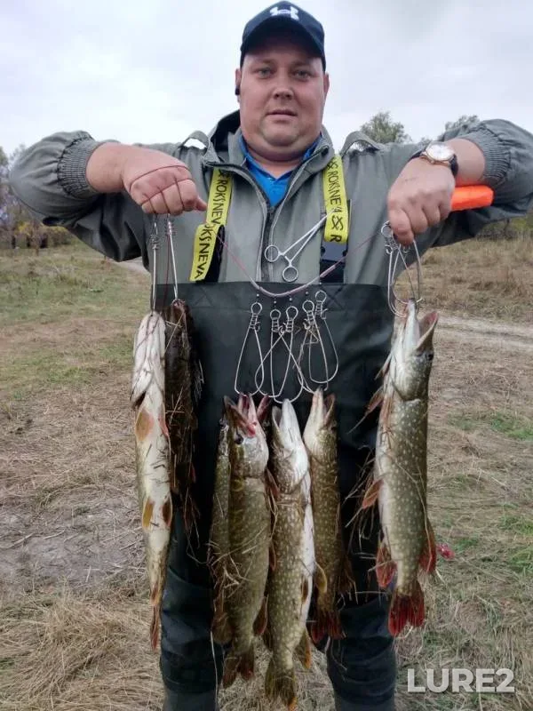 Perch, Pike — yerik Belyy Ilmen, Oct 21, 2017
