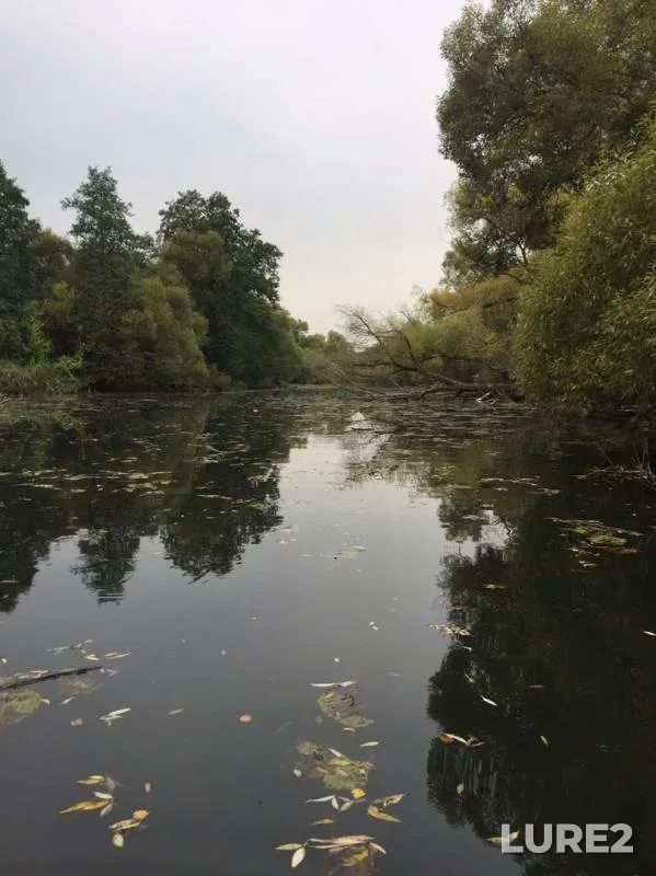 Pike — Severka, Sep 06, 2019