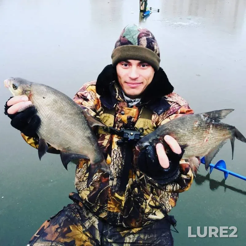 Bream — Moskovskaya oblast, Nov 18, 2018