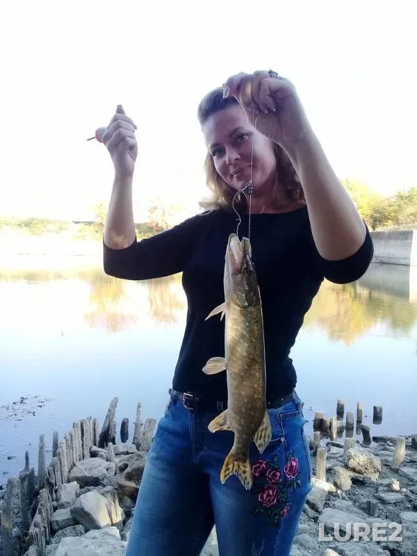 Pike — Shapsugskoye, Oct 20, 2018