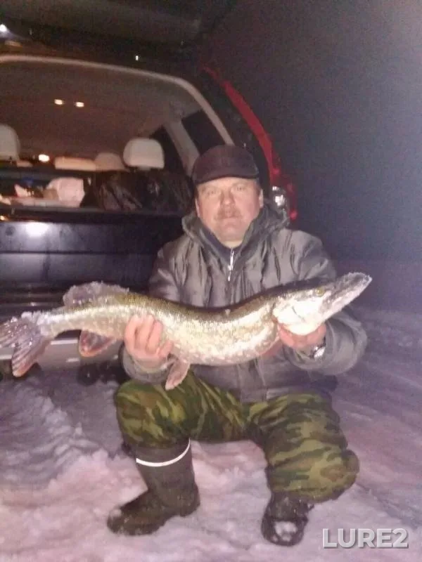 Pike — Vyacha, Jan 17, 2019