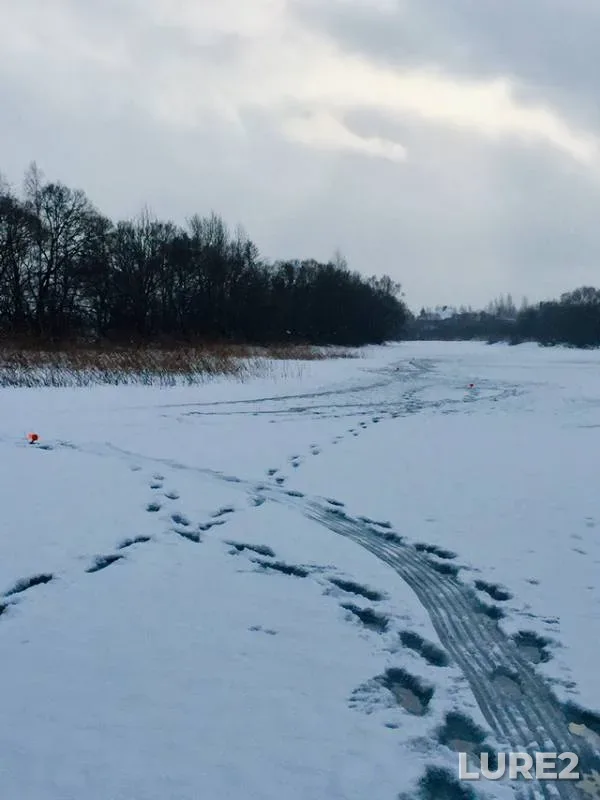 Pike — Vyacha, Jan 15, 2019