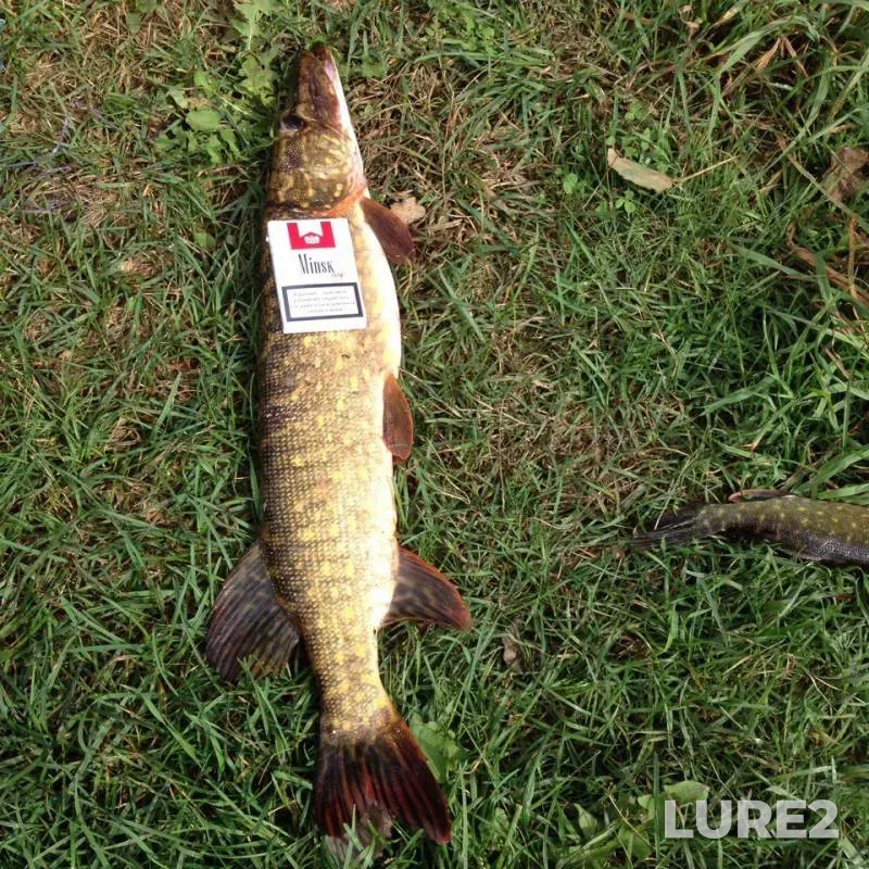 Pike — Gravzhanka, Sep 11, 2017