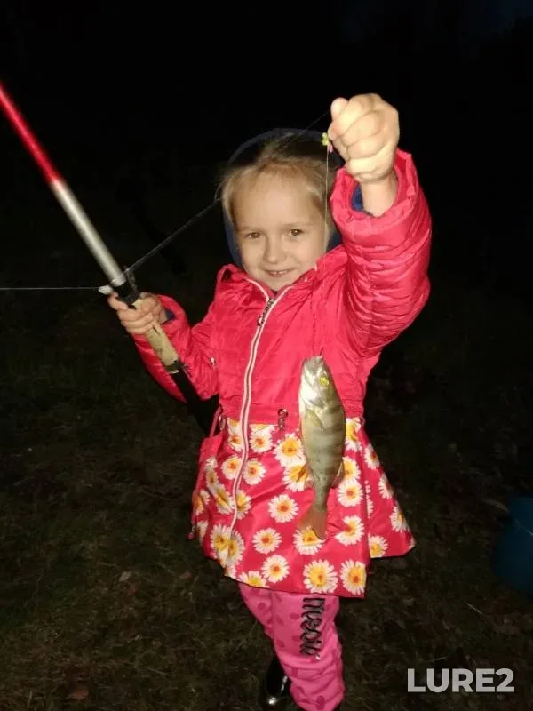 Perch — Topka, Sep 26, 2019