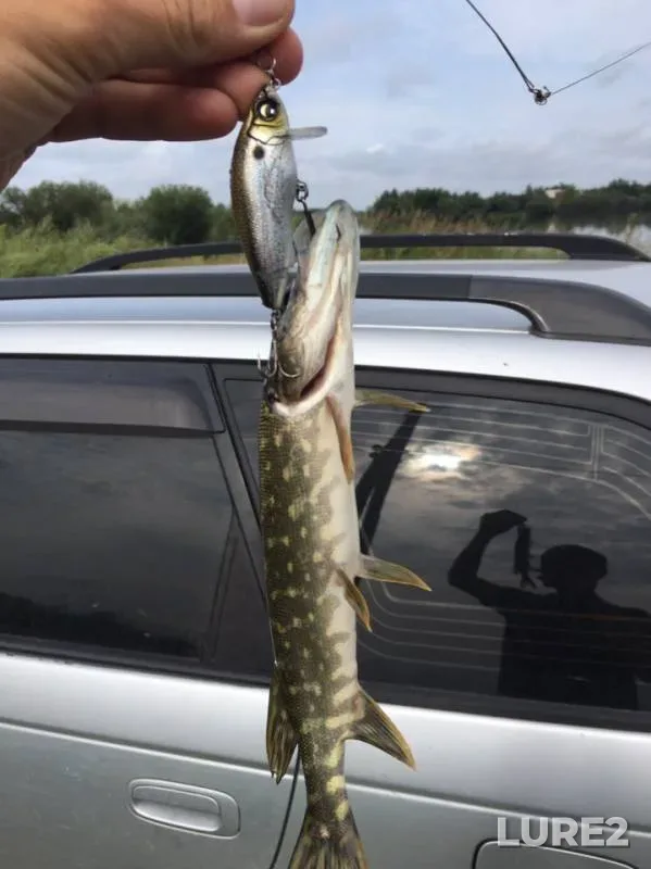Pike — Irkut, Aug 01, 2019
