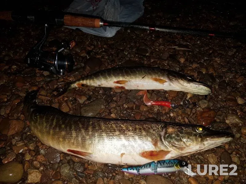 Pike — Angara, Jul 23, 2019