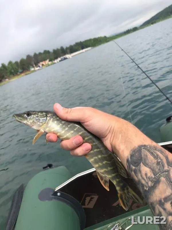 Pike — Uladova, Jun 23, 2019
