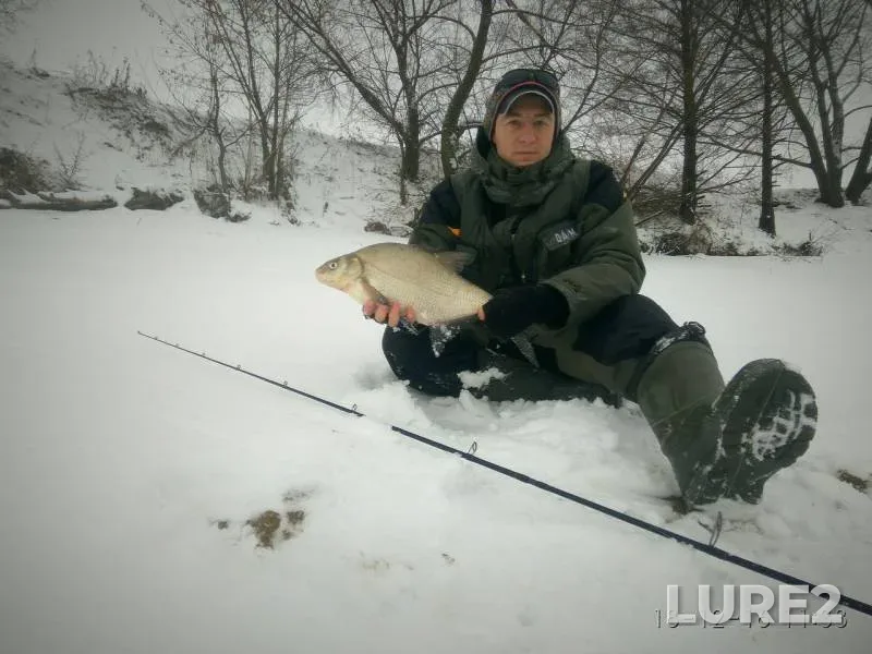 Bream, Zander — Moskva, Dec 18, 2016