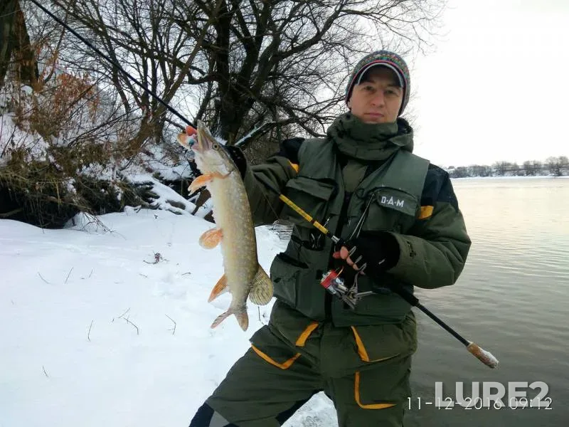 Bream, Pike — Moskva, Dec 11, 2016