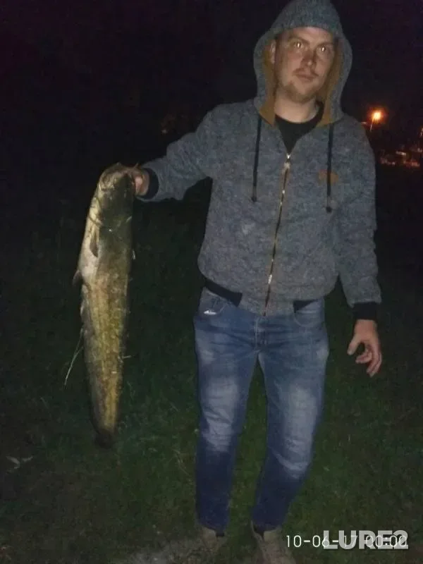 Wels catfish — Ros, Jun 10, 2017