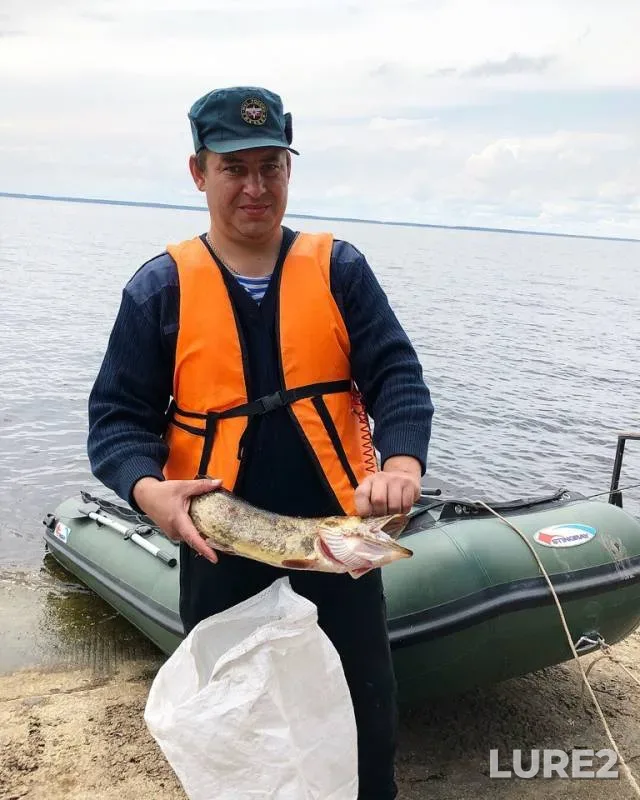 Bream — Rybinskoye, Jul 24, 2018