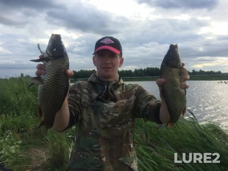 Carp — Permskiy kray, Jul 10, 2016