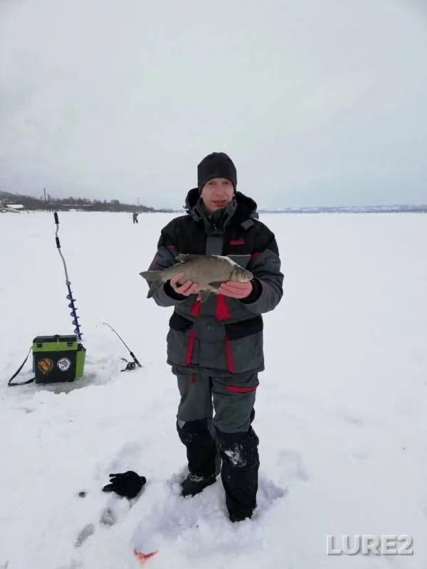 Bream — Permskiy kray, Jan 05, 2019
