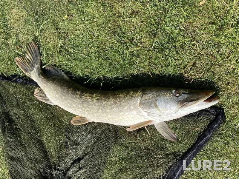 Pike — Engine Sewer, Jun 16, 2023, 3:38 PM