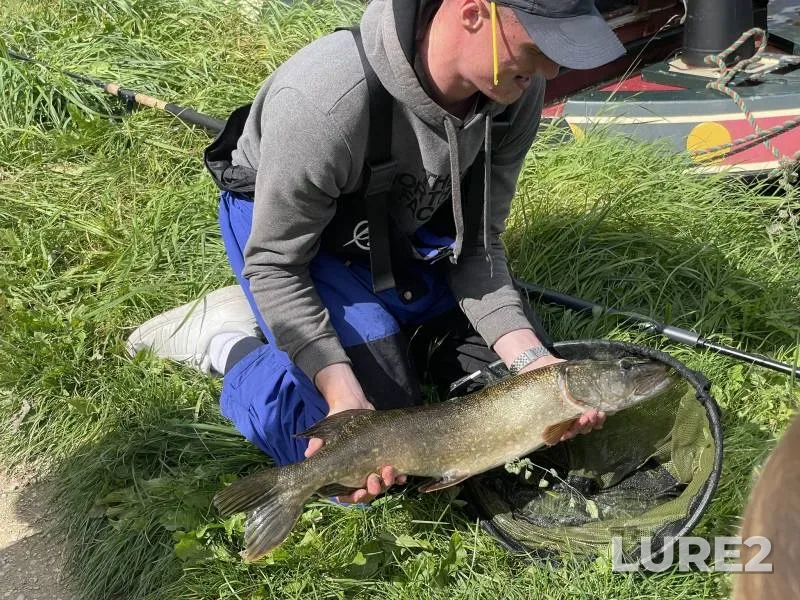 Pike — Aire, Aug 22, 2023, 12:43 PM