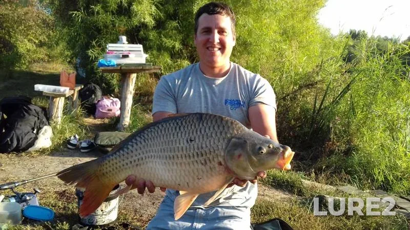 Carp, Pike — Kharkov, Sep 10, 2019