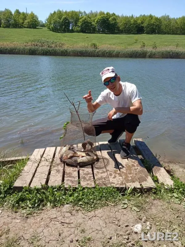 Crucian carp — Kharkіvska oblast, May 20, 2019