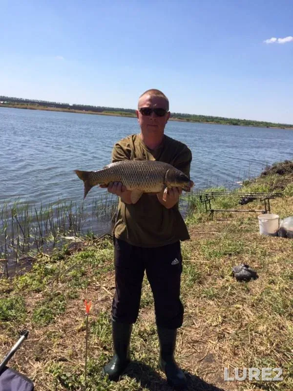 Carp — Kharkіvska oblast, May 10, 2019
