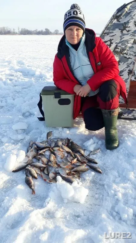 Perch, Roach — Severskiy Donets, Jan 21, 2019