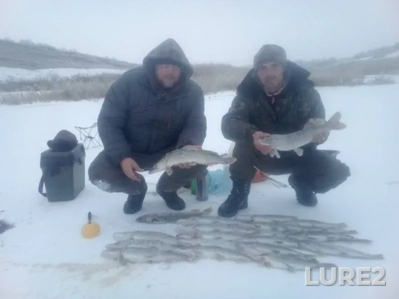 Pike — Kharkіvska oblast, Dec 03, 2018