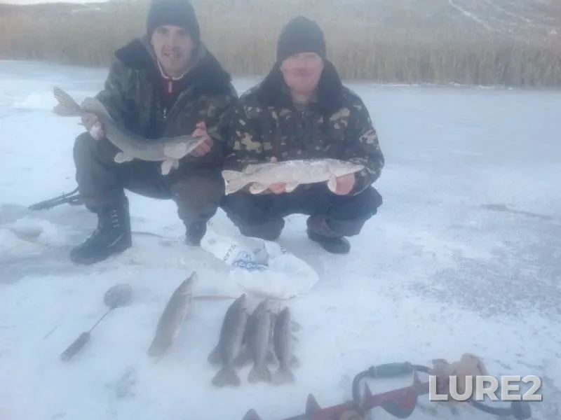 Pike — Kharkіvska oblast, Nov 30, 2018