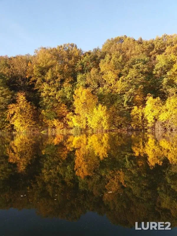 Pike, Zander — Severskiy Donets, Oct 16, 2018