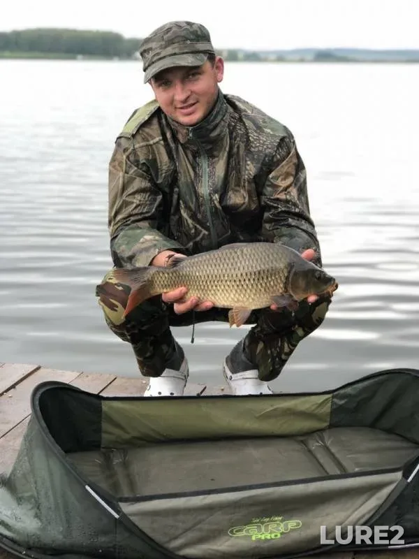Carp, Grass carp — Kharkіvska oblast, Jul 16, 2018