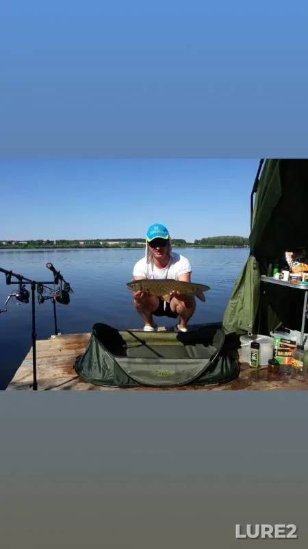 Grass carp — Kharkіvska oblast, Jul 10, 2018