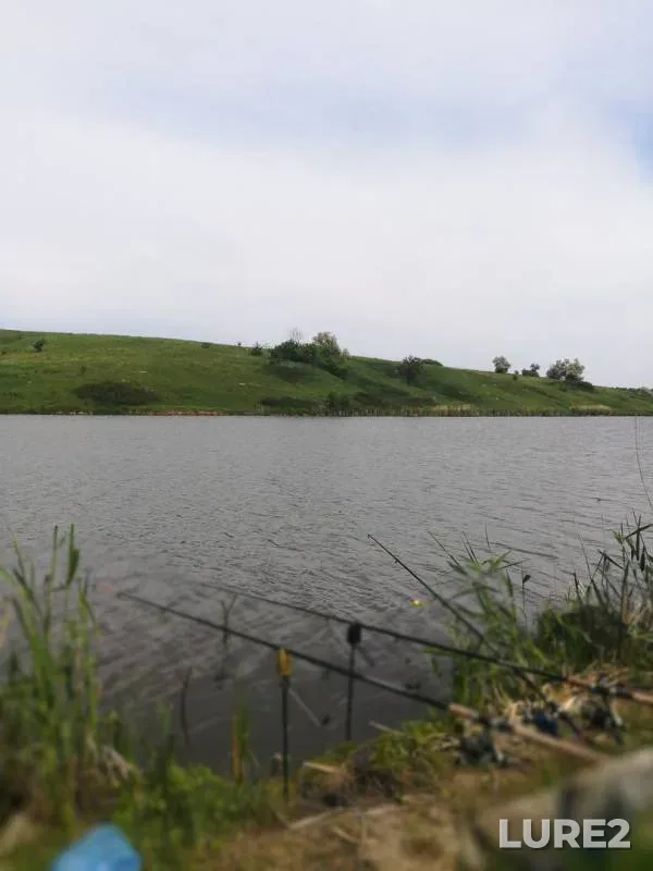 Crucian carp — Kharkіvska oblast, Jun 03, 2018