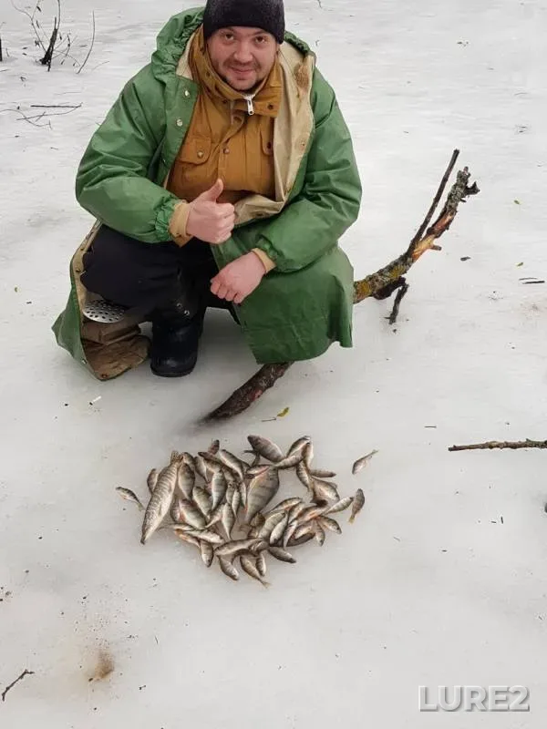 Perch, Pike — Kharkіvska oblast, Feb 11, 2018