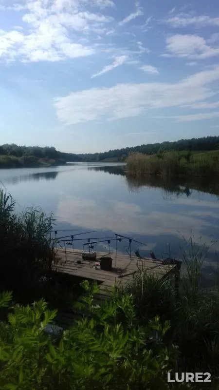 Carp, Crucian carp — Kharkіvska oblast, Jun 19, 2017