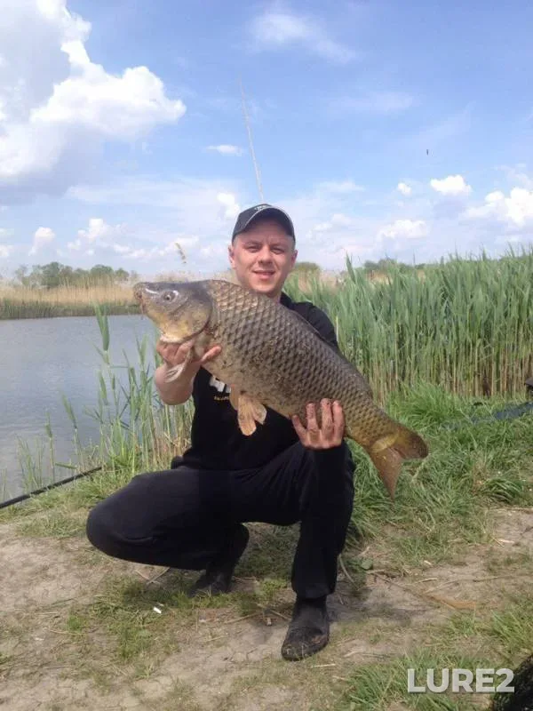 Carp — Kharkіvska oblast, May 12, 2017