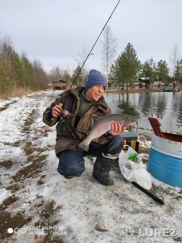 Rainbow trout — Lepsari, Nov 02, 2019