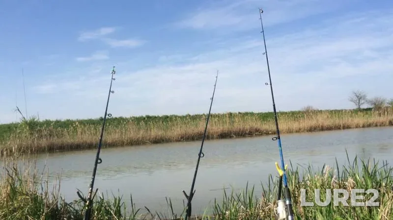 Crucian carp — Sukhoy Aushedz, Apr 28, 2019