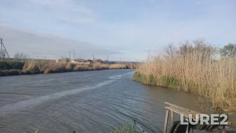 Crucian carp — Krasnodarskiy kray, Temryukskiy rayon, Apr 21, 2019