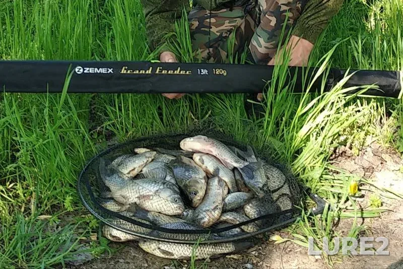 Bream, Crucian carp — Kuban, Apr 29, 2019