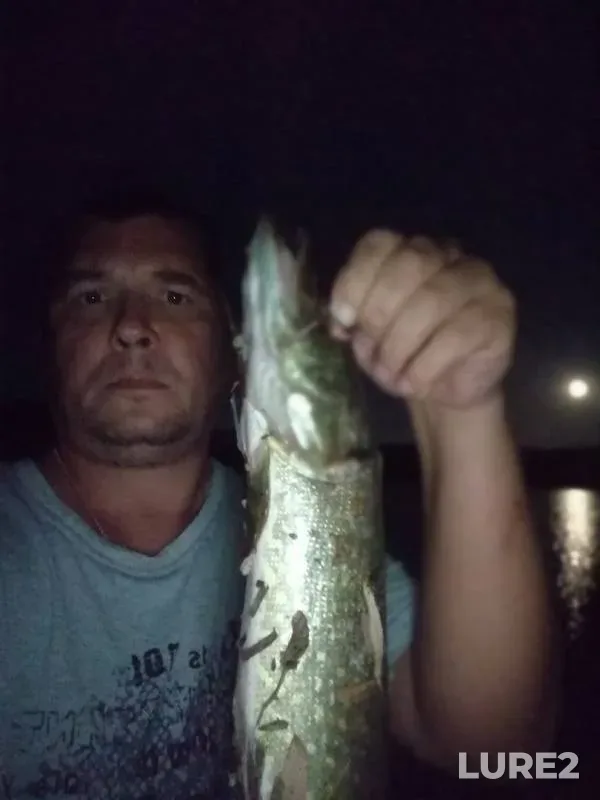 Pike — Soldatskiy, May 17, 2019