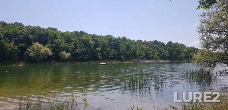 Perch, Pike — Soldatskiy, Jun 09, 2019