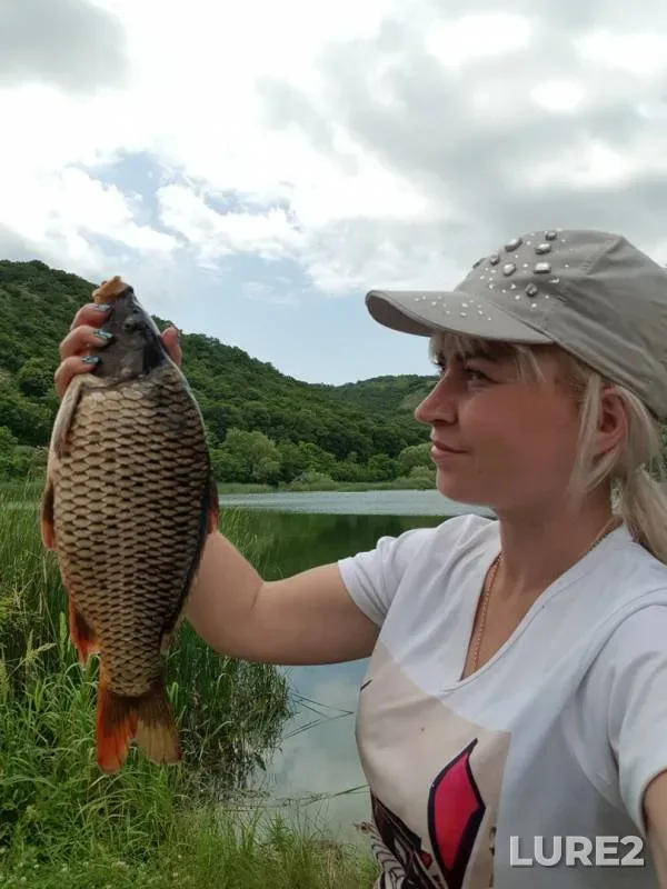 Carp, Perch — Tsemes, Jun 13, 2019