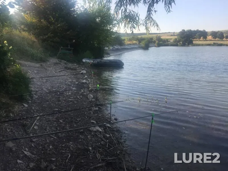 Crucian carp — Krasnodarskiy kray, Jul 08, 2019