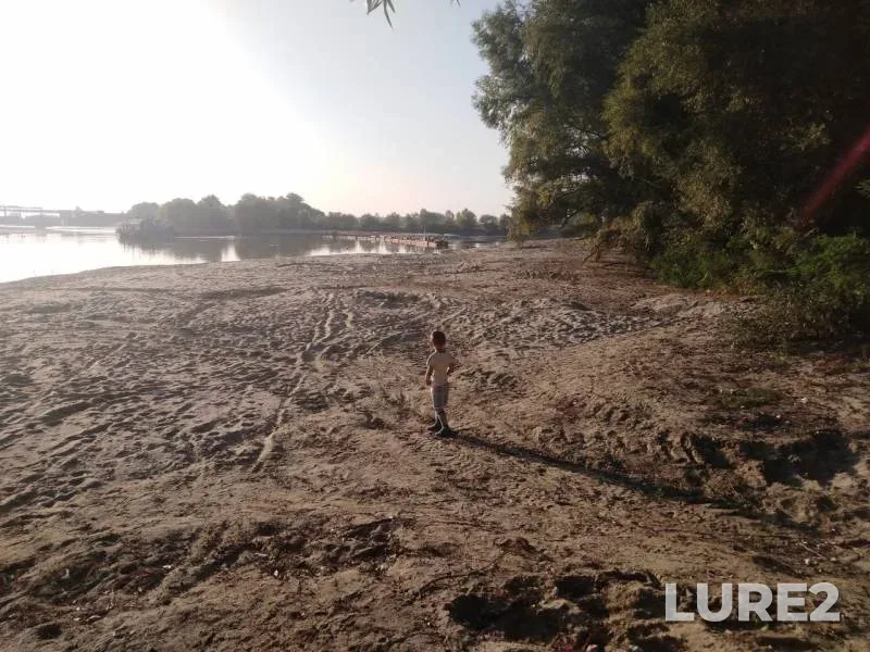 Crucian carp, Pike — Protoka, Sep 15, 2019