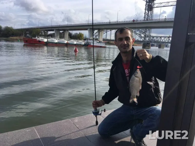 Crucian carp — Don, Apr 15, 2019