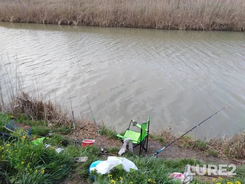 Crucian carp — Krasnodarskiy kray, Temryukskiy rayon, Apr 17, 2019