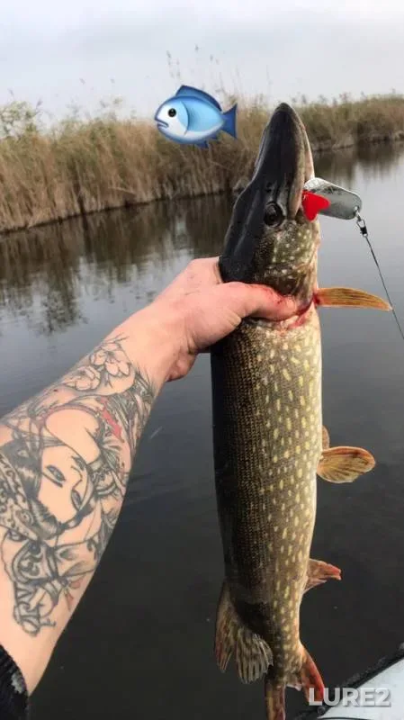 Pike — Kazachiy Yerik, Oct 20, 2018